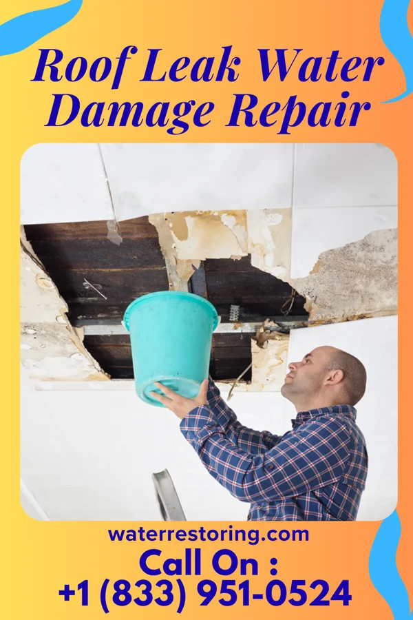 Roof Leak Water Damage Repair in Jackson, MS