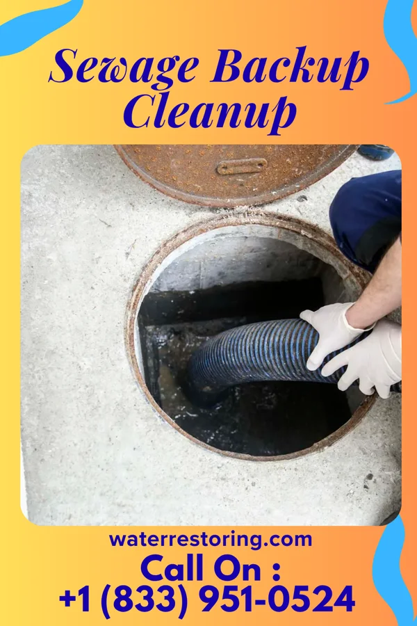 Sewage Backup Cleanup in Jackson, MS